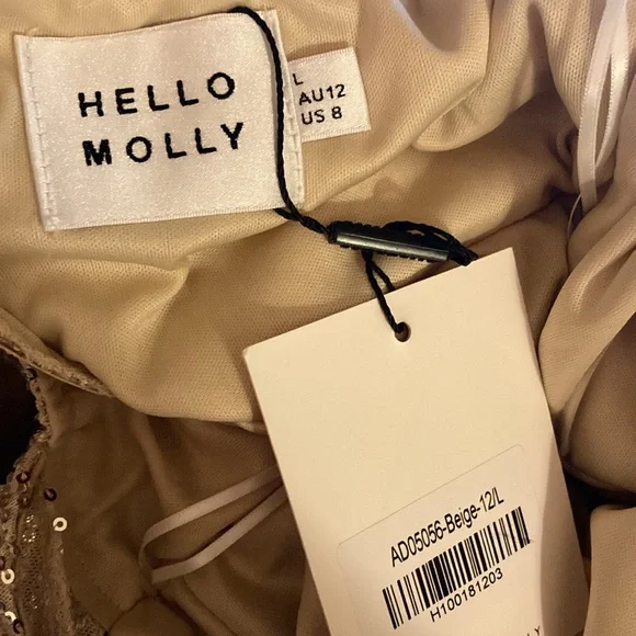 Hello Molly Daphne Maxi Sequin Dress in Beige - Picture 7 of 8